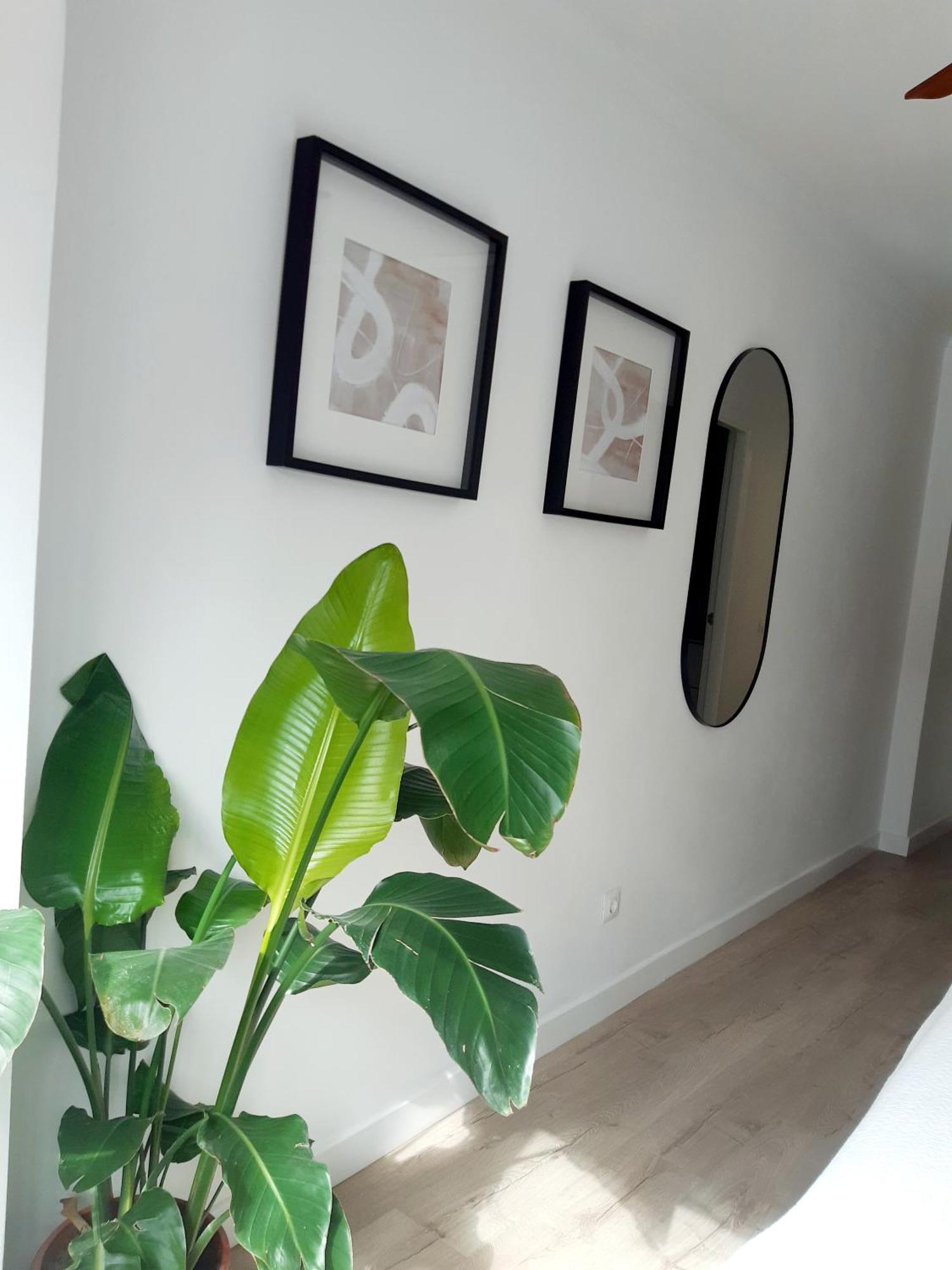 Impressive Apartment With 3 Bedrooms Metres From The Beach 에스테포나 외부 사진